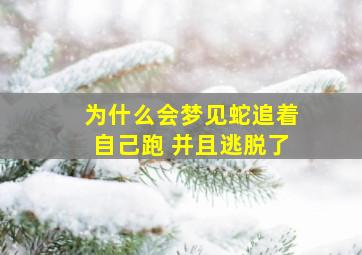 为什么会梦见蛇追着自己跑 并且逃脱了